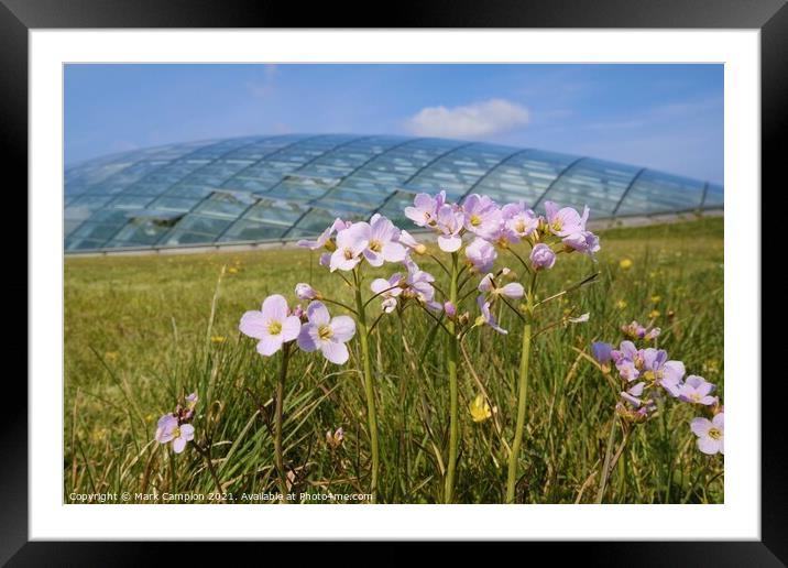 Spring Meadow Flowers at the National Botanic Garden of Wales 2 Framed Mounted Print by Mark Campion