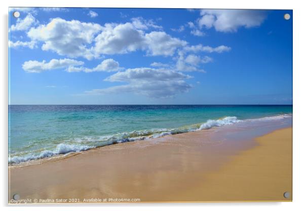 Fuerteventura beach Acrylic by Paulina Sator