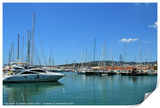 Yachts docked in Palma de Mallorca port Print by Paulina Sator