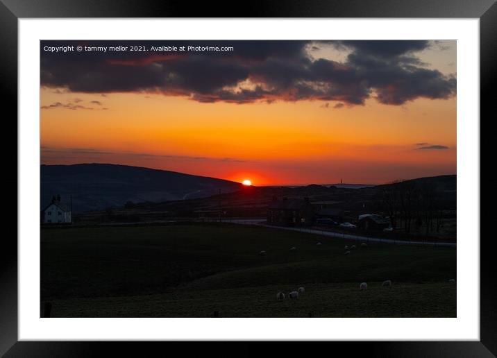 Sky sun setting  Framed Mounted Print by tammy mellor