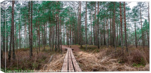 Pine forest with wooden path Canvas Print by Maria Vonotna