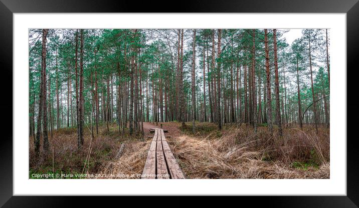 Pine forest with wooden path Framed Mounted Print by Maria Vonotna