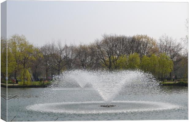  Chelmsford Central Park Canvas Print by John Bridge