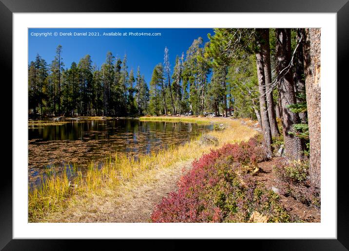 Tranquil Beaver Lake Framed Mounted Print by Derek Daniel