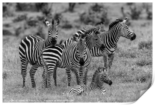 Zebra Family Print by Steve de Roeck