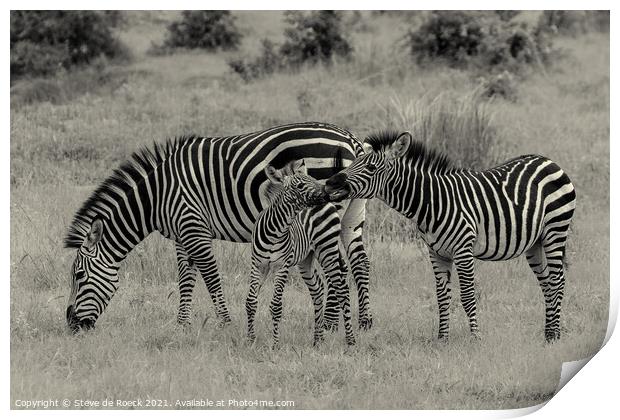 Zebra family. Print by Steve de Roeck