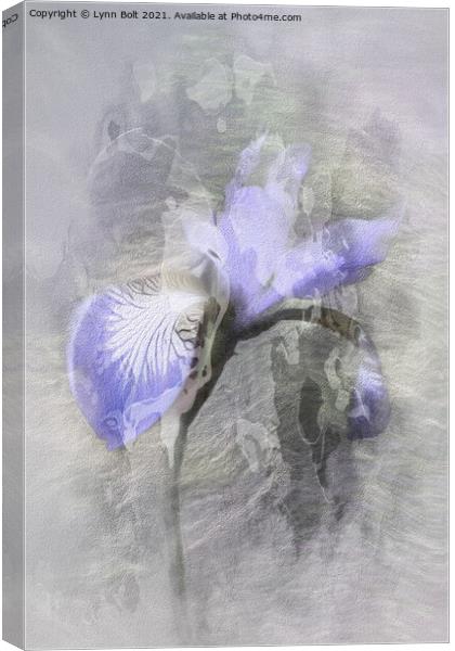 Purple Iris Canvas Print by Lynn Bolt