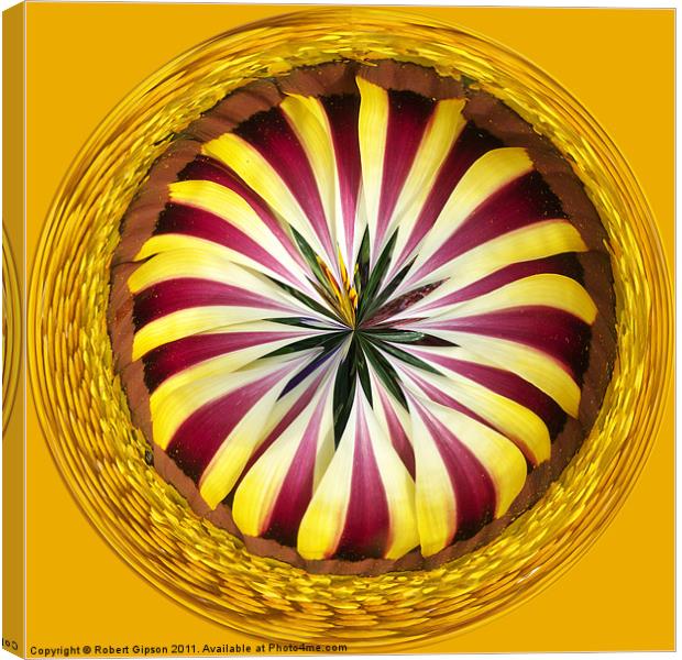 Spherical Paperweight Gazania Sphere Canvas Print by Robert Gipson