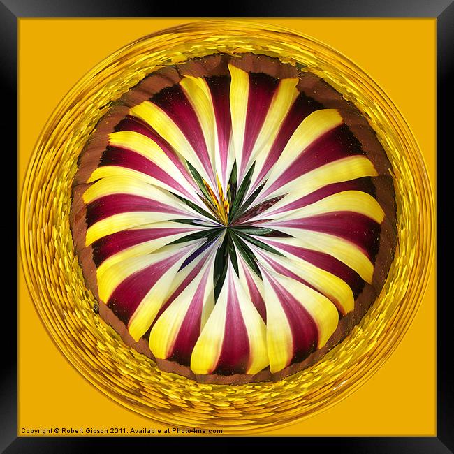 Spherical Paperweight Gazania Sphere Framed Print by Robert Gipson