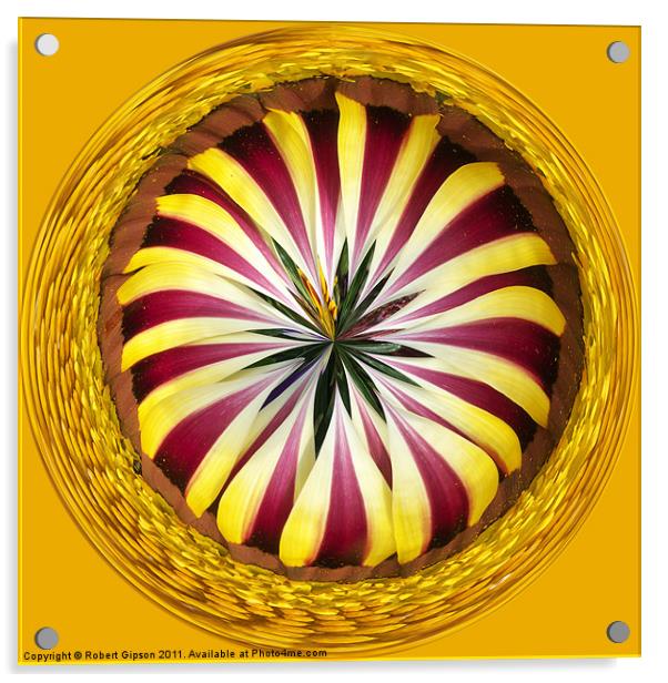 Spherical Paperweight Gazania Sphere Acrylic by Robert Gipson