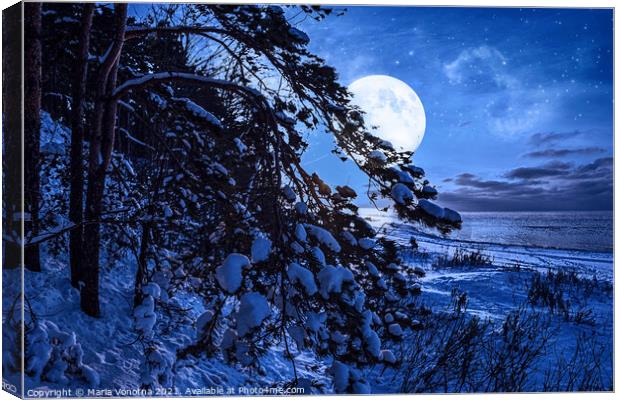 Winter night Canvas Print by Maria Vonotna