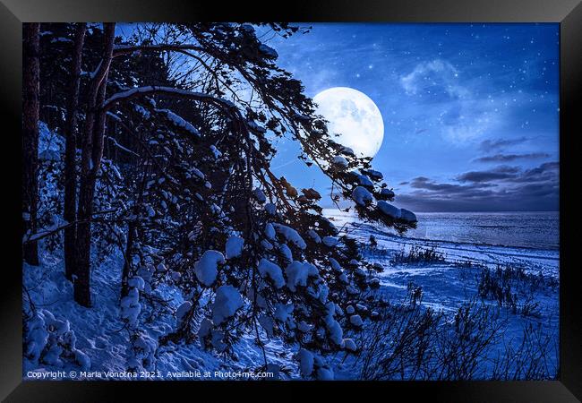 Winter night Framed Print by Maria Vonotna