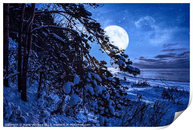 Winter night Print by Maria Vonotna