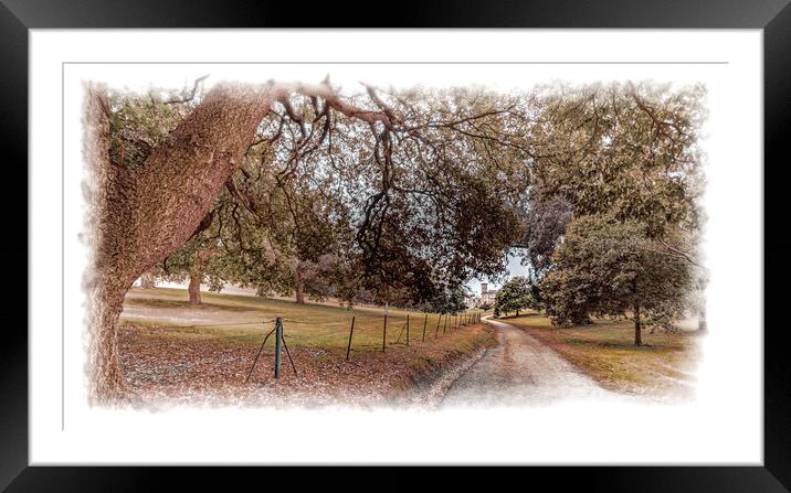 Driveway up to the house Framed Mounted Print by Ian Johnston  LRPS