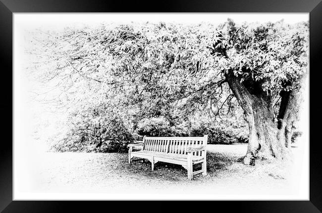 Rest under the tree mono Framed Print by Ian Johnston  LRPS