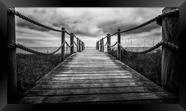 Over the bridge to the sea in mono Framed Print by Ian Johnston  LRPS