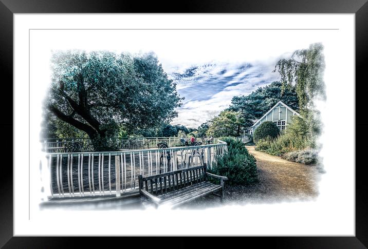 Cafe under the trees Framed Mounted Print by Ian Johnston  LRPS