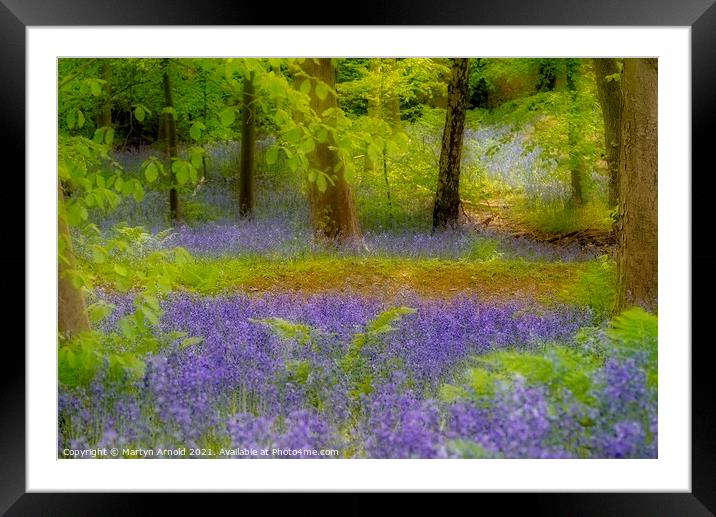 Artistic Bluebells Framed Mounted Print by Martyn Arnold