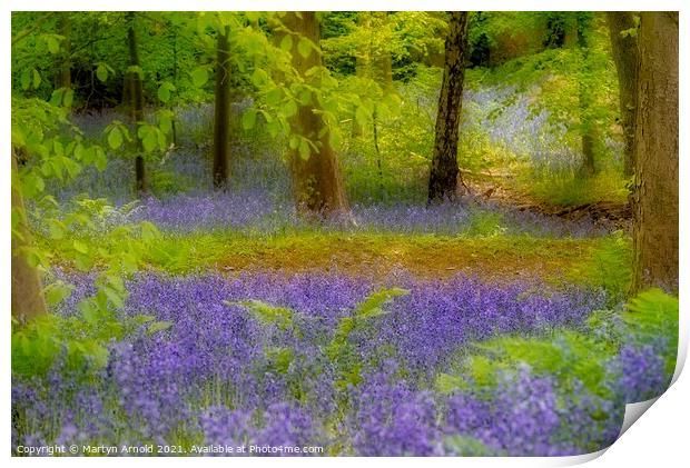Artistic Bluebells Print by Martyn Arnold