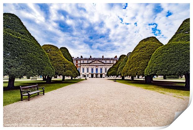 Yew Trees Hampton Court Palace  Print by Hiran Perera