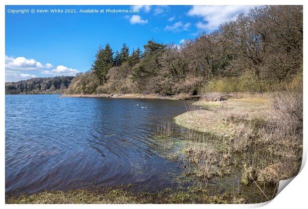 Shoreline of Burrator reservoir Print by Kevin White