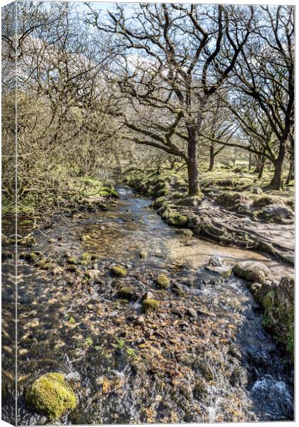 Rocky stream at  Burrator reservoir Canvas Print by Kevin White