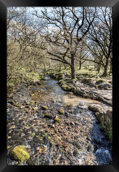 Rocky stream at  Burrator reservoir Framed Print by Kevin White