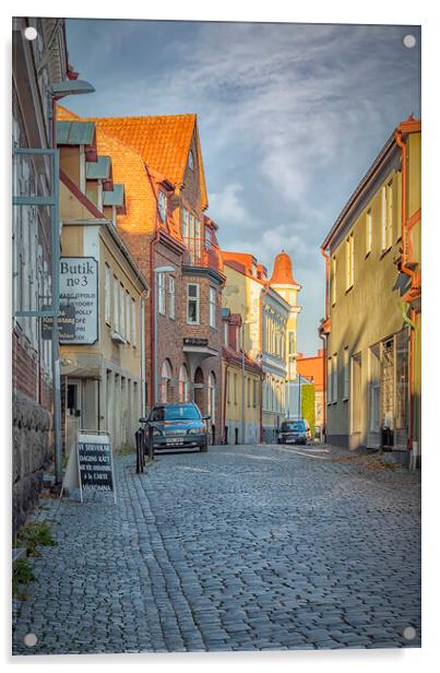 Solvesborg Street View Acrylic by Antony McAulay