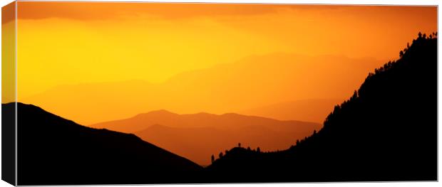 Sunset Over the Overberg, Western Cape, South Africa Canvas Print by Neil Overy