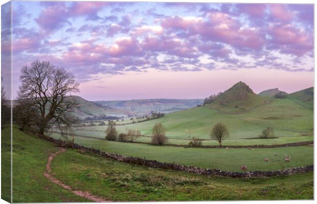 Dawn light over Parkhouse hill in the Peak District  Canvas Print by John Finney