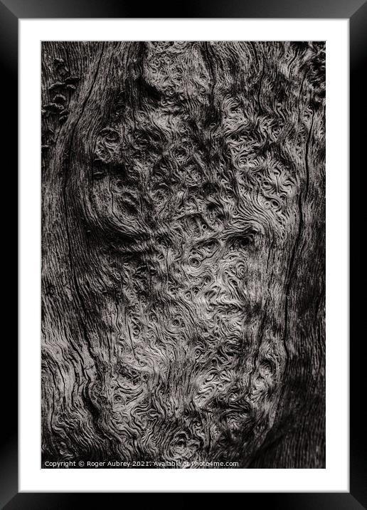 Swirling tree patterns Framed Mounted Print by Roger Aubrey