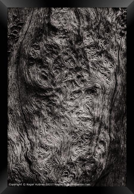 Swirling tree patterns Framed Print by Roger Aubrey