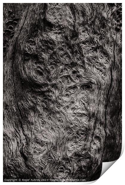 Swirling tree patterns Print by Roger Aubrey