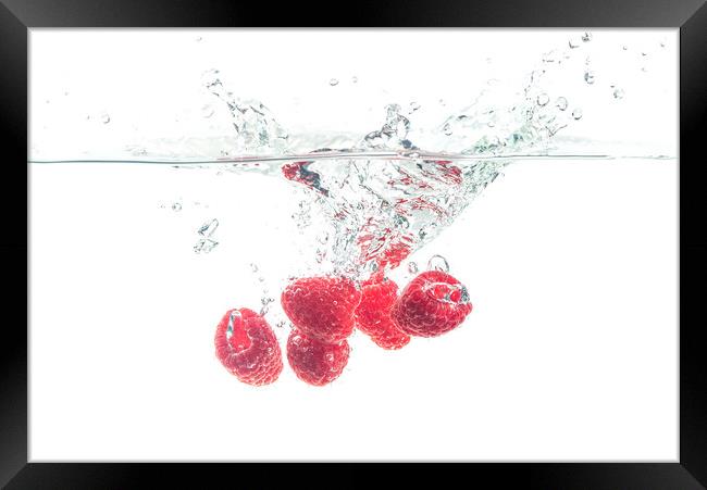 Raspberries splashing in water on white Framed Print by Przemek Iciak