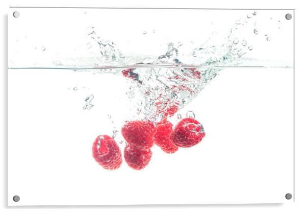 Raspberries splashing in water on white Acrylic by Przemek Iciak