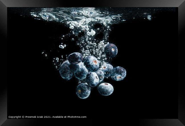 Blueberries splashing in water on black Framed Print by Przemek Iciak