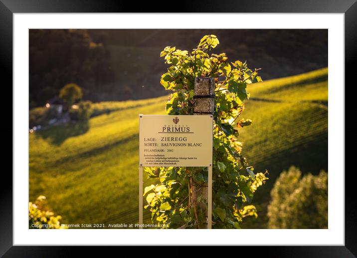 View at famous vineyard in south styria, Austria on tuscany like vineyard hills. Tourist destination Framed Mounted Print by Przemek Iciak