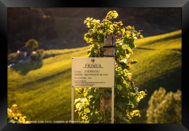 View at famous vineyard in south styria, Austria on tuscany like vineyard hills. Tourist destination Framed Print by Przemek Iciak