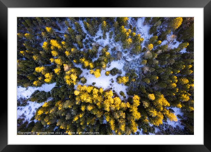Winter forest aerial view from above during sunset Framed Mounted Print by Przemek Iciak