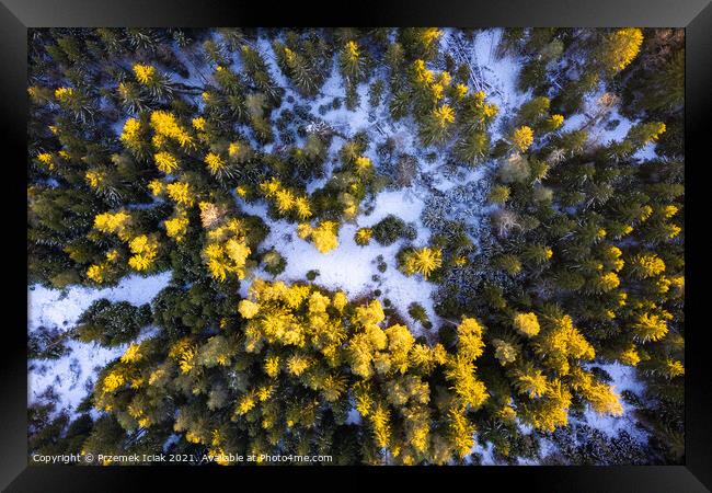 Winter forest aerial view from above during sunset Framed Print by Przemek Iciak