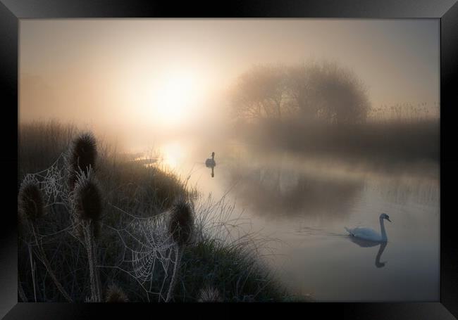 Magical Morning on the Dorset Stour Framed Print by David Neighbour