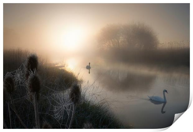 Magical Morning on the Dorset Stour Print by David Neighbour