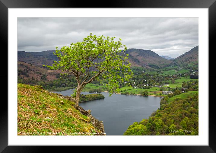 Grasmere View Framed Mounted Print by CHRIS BARNARD