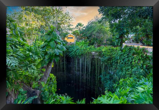 Ik Kil Cenote located in the northern center of the Yucatan Peninsula, a part of the Ik Kil Archeological Park near Chichen Itza Framed Print by Elijah Lovkoff