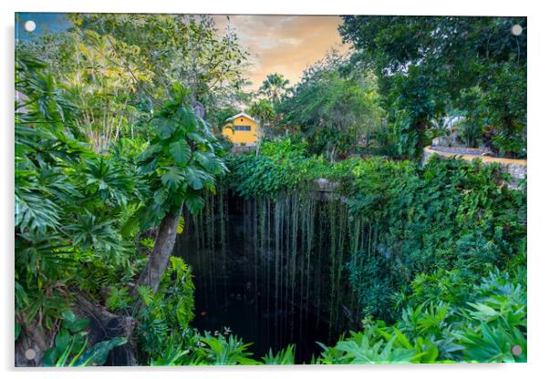 Ik Kil Cenote located in the northern center of the Yucatan Peninsula, a part of the Ik Kil Archeological Park near Chichen Itza Acrylic by Elijah Lovkoff