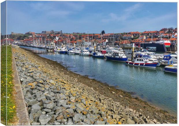 Whitby Harbour Canvas Print by Sue Walker