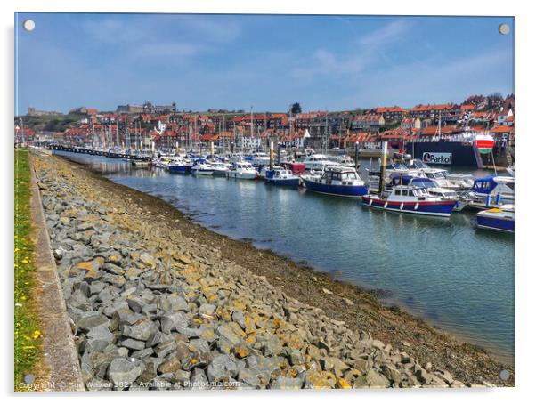 Whitby Harbour Acrylic by Sue Walker