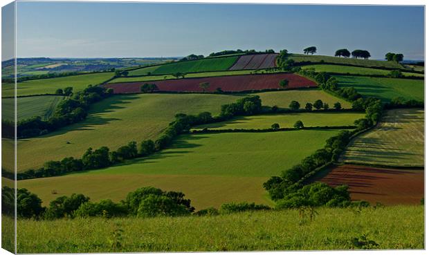Fields and Hedgerows Canvas Print by Pete Hemington