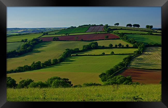 Fields and Hedgerows Framed Print by Pete Hemington