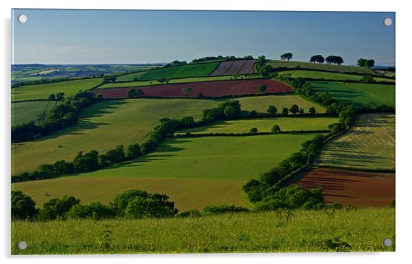 Fields and Hedgerows Acrylic by Pete Hemington